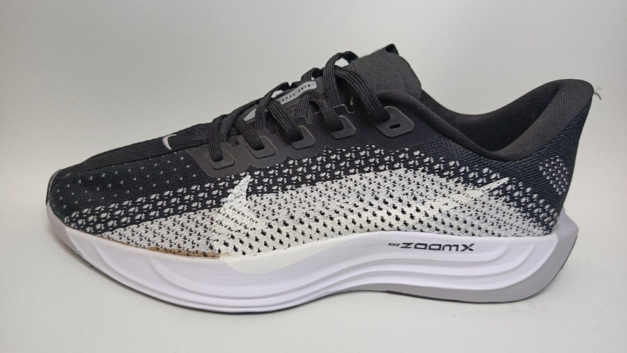 Nike ZoomX Pegasus Plus