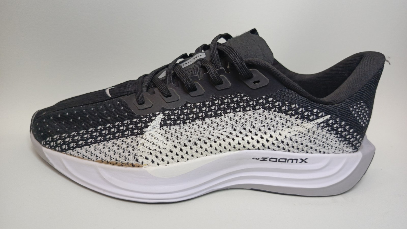Nike ZoomX Pegasus Plus